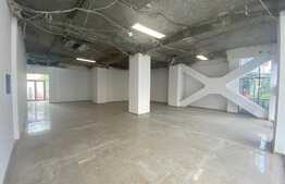 Spatiu comercial, 175 mp, Zona Ultracentrala