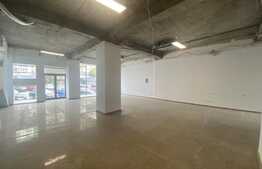 Spatiu comercial, 175 mp, Zona Ultracentrala