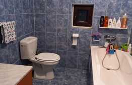 Casa P+M, 100 mp, 600 mp teren, Bulevardul Carpenului