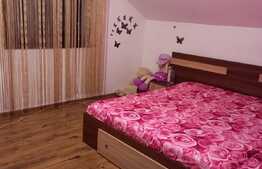 Casa P+M, 100 mp, 600 mp teren, Bulevardul Carpenului