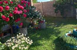 Casa P+M, 100 mp, 600 mp teren, Bulevardul Carpenului