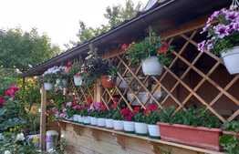 Casa P+M, 100 mp, 600 mp teren, Bulevardul Carpenului