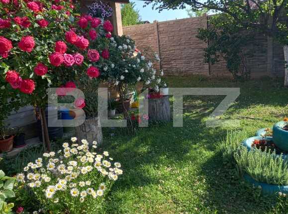 Casa de vânzare 3 camere Bariera Valcii - 93105CV | BLITZ Craiova | Poza13