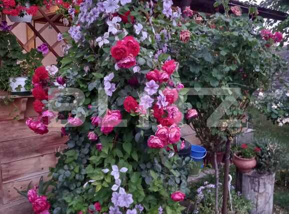 Casa de vânzare 3 camere Bariera Valcii - 93105CV | BLITZ Craiova | Poza2