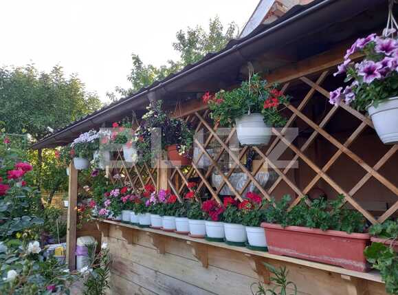 Casa de vânzare 3 camere Bariera Valcii - 93105CV | BLITZ Craiova | Poza3