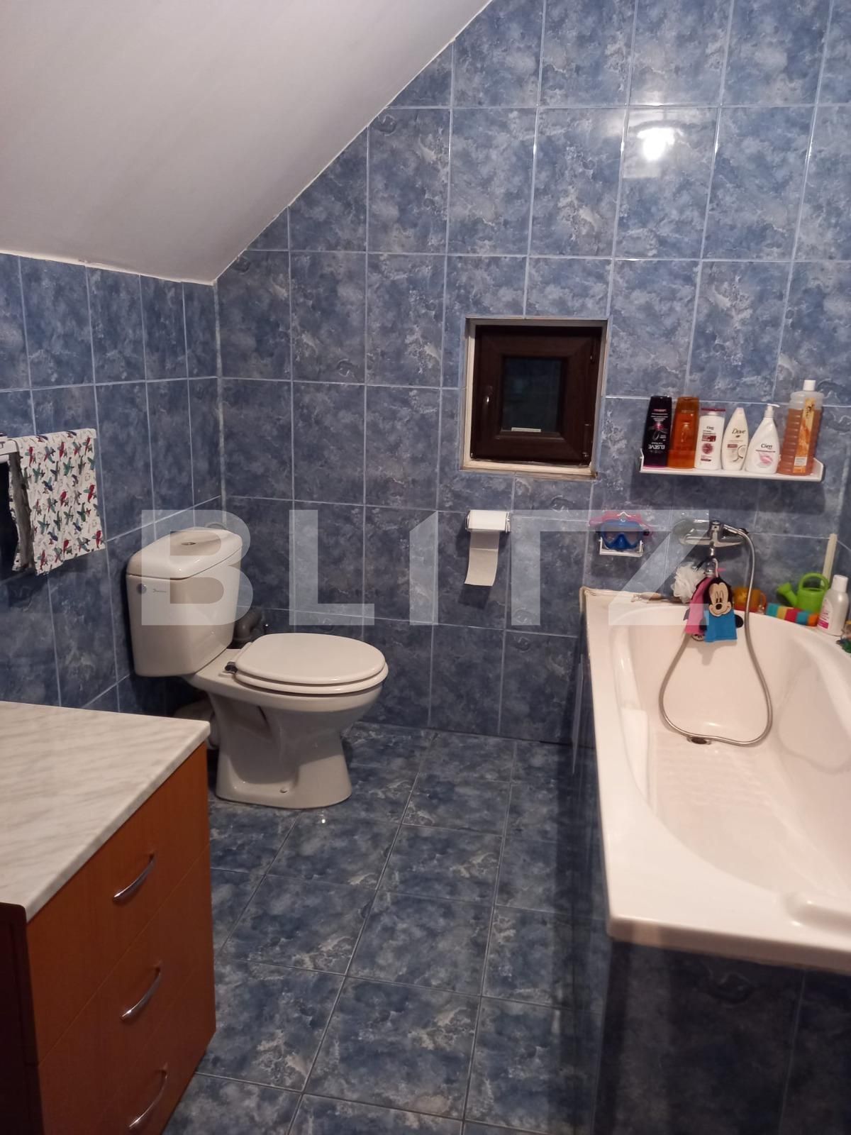 Casa de vânzare 3 camere Bariera Valcii - 93105CV | BLITZ Craiova | Poza11