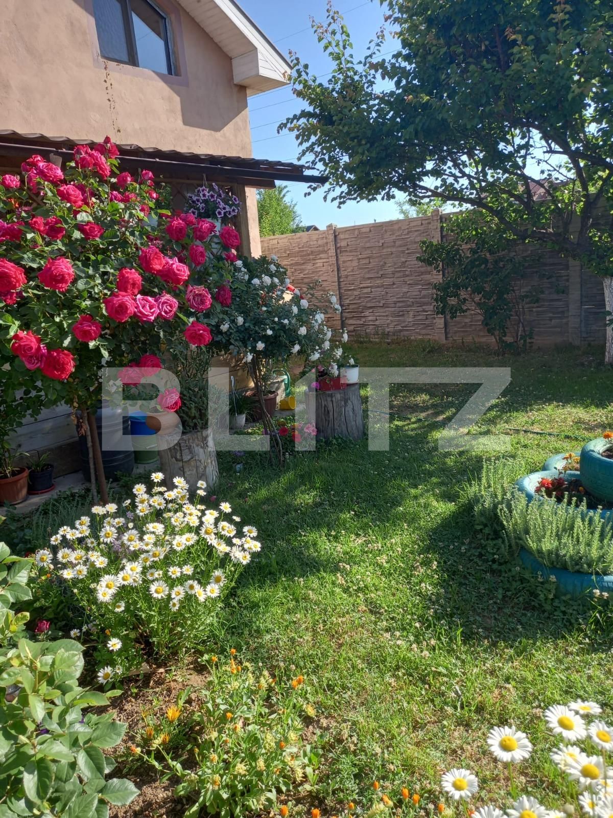 Casa de vânzare 3 camere Bariera Valcii - 93105CV | BLITZ Craiova | Poza13