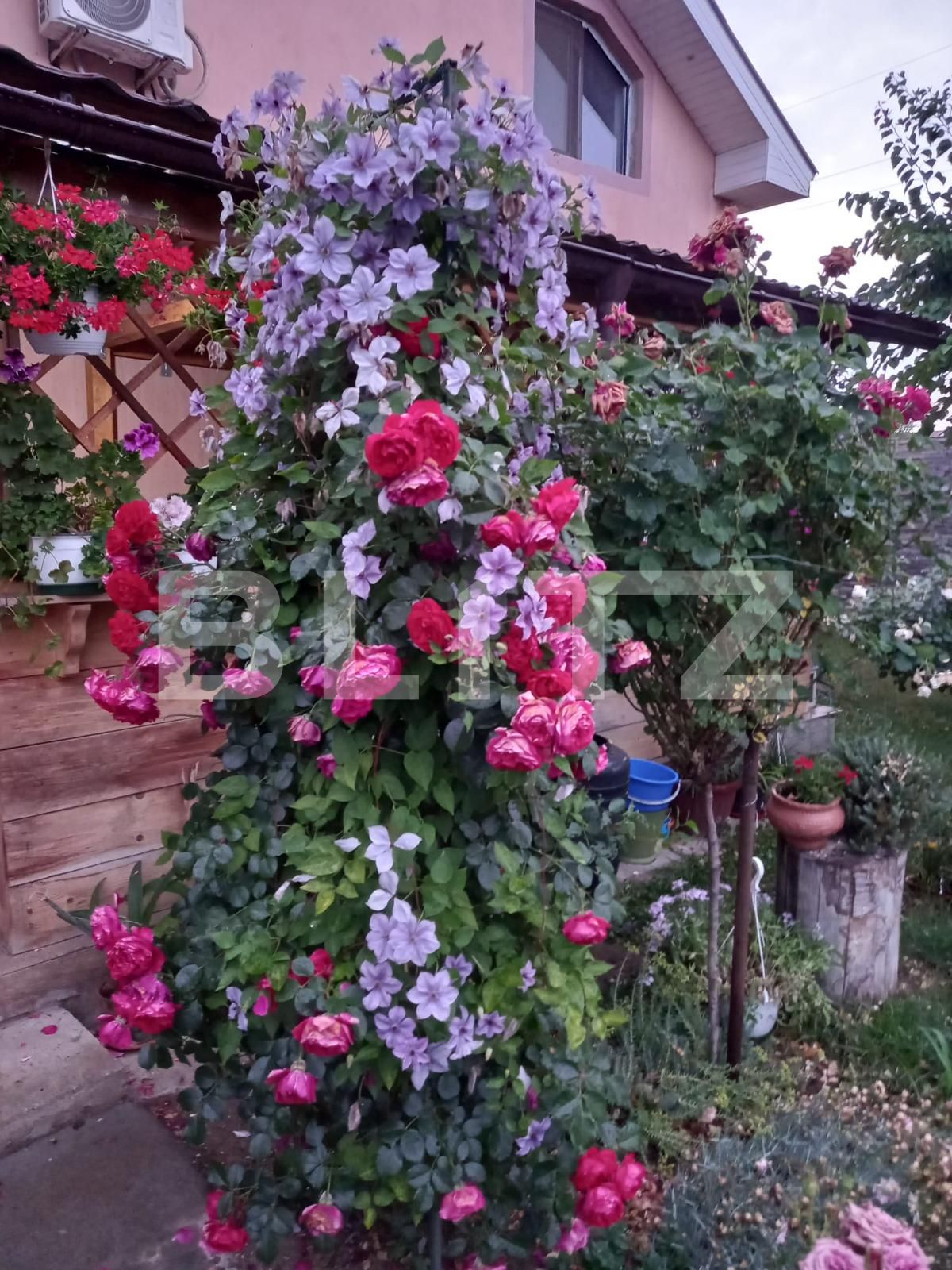 Casa de vânzare 3 camere Bariera Valcii - 93105CV | BLITZ Craiova | Poza2