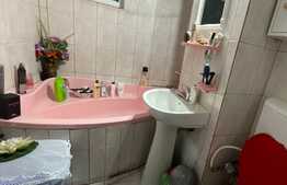 Apartament 2 camere, parter, Craiovita Noua