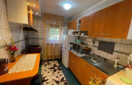 Apartament 2 camere, parter, Craiovita Noua