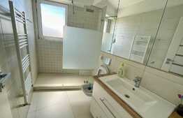 Apartament modern, 2 camere, terasa, Parcul Romanescu