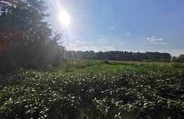 Ofertă! Teren 3621mp, partial intravilan, cartier Popoveni