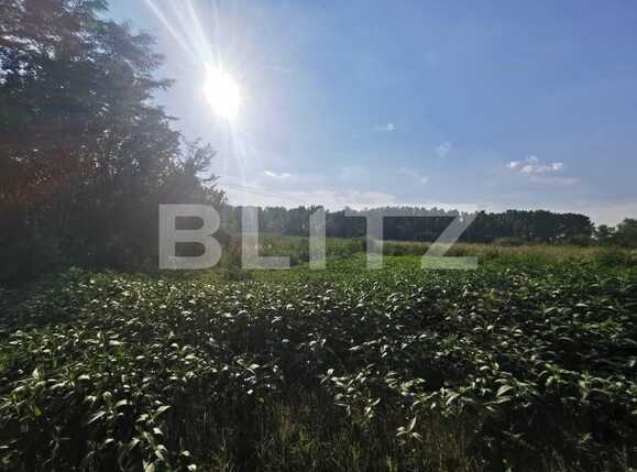 Teren de vânzare Popoveni - 93195TV | BLITZ Craiova | Poza4