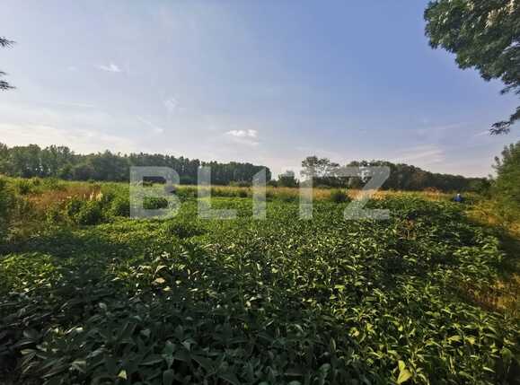 Teren de vânzare Popoveni - 93195TV | BLITZ Craiova | Poza3