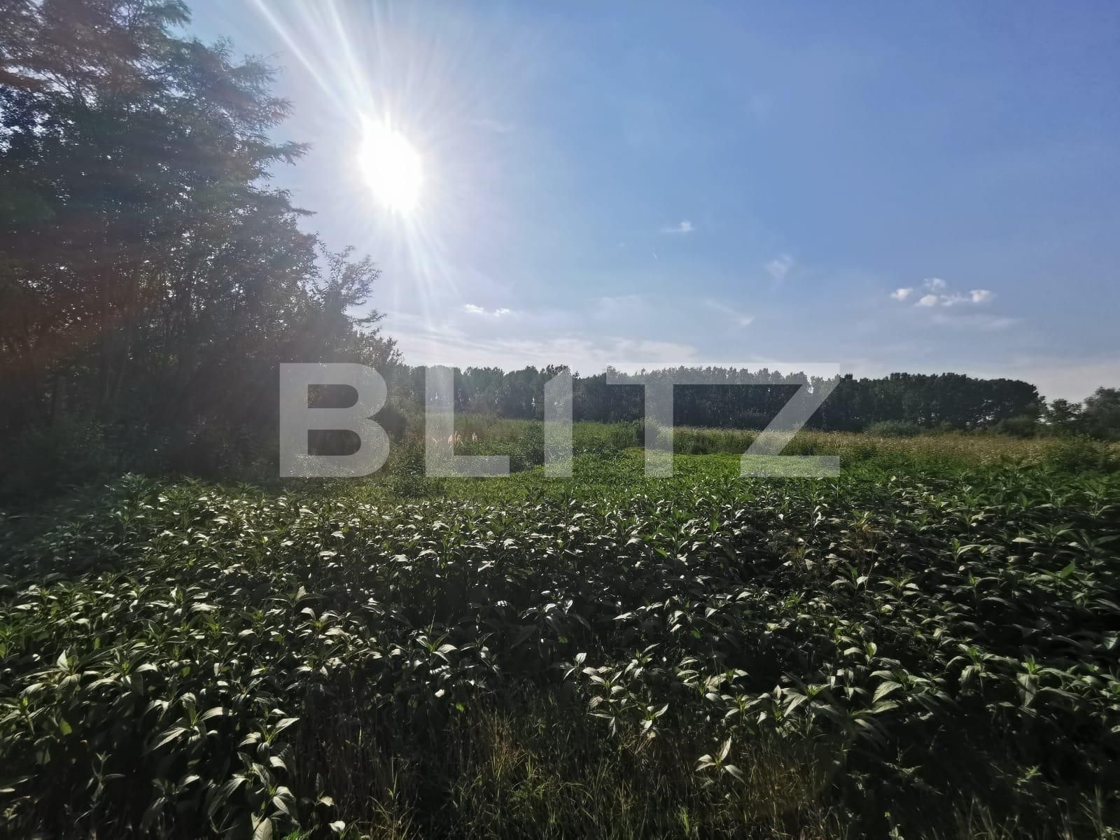 Teren de vânzare Popoveni - 93195TV | BLITZ Craiova | Poza4
