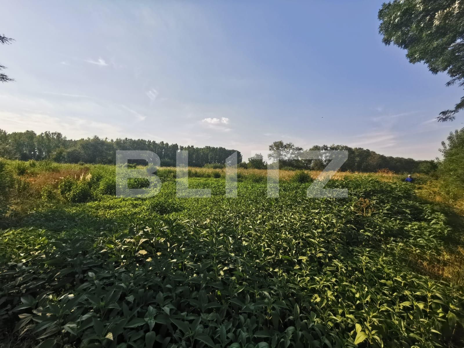 Teren de vânzare Popoveni - 93195TV | BLITZ Craiova | Poza3