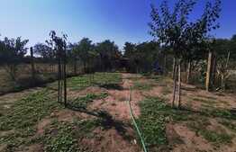  Casă individuală de 105 mp utili, 781 mp teren, terasa, strada Brestei