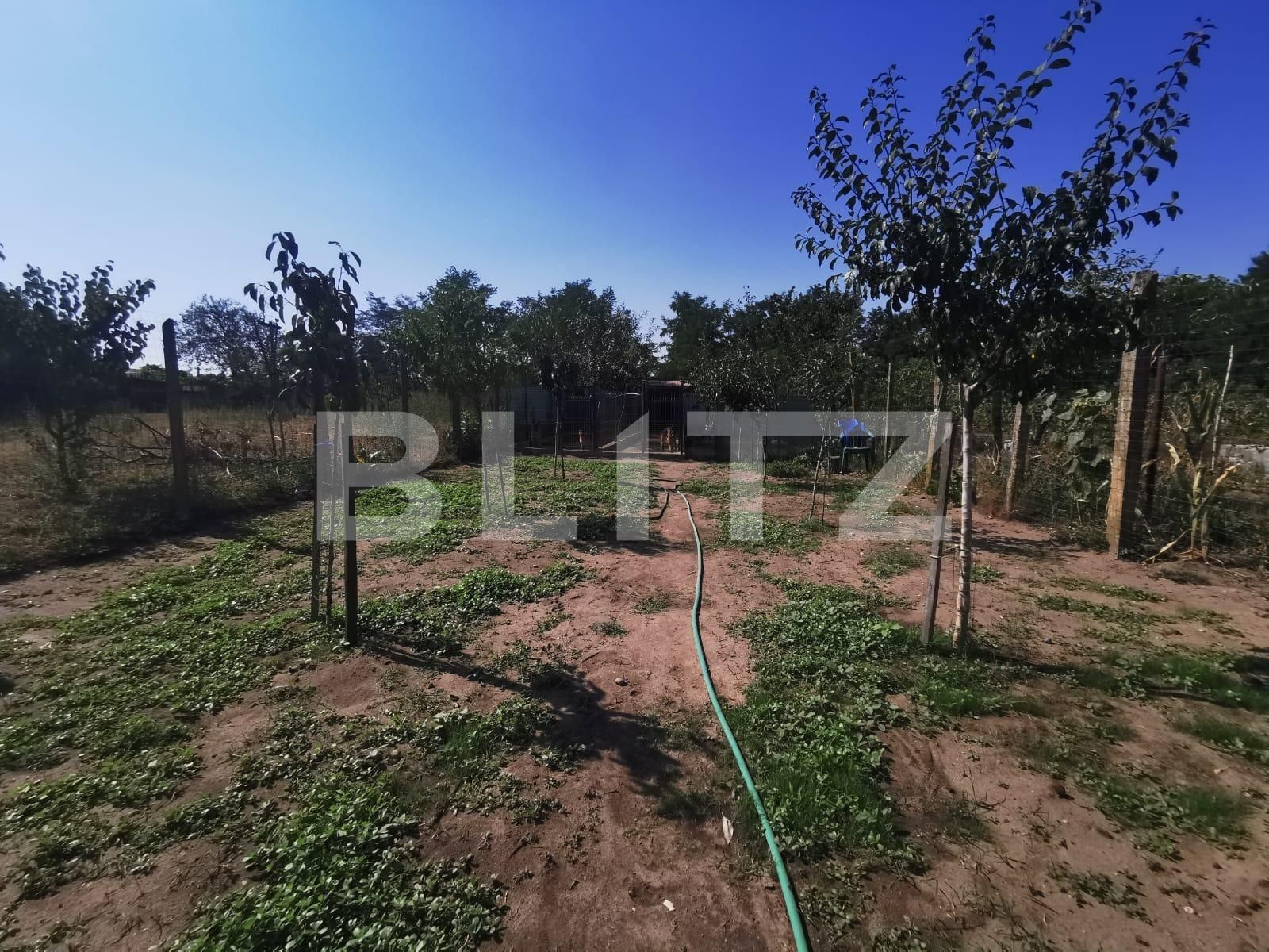 Casa de vânzare 3 camere Brestei - 93374CV | BLITZ Craiova | Poza14