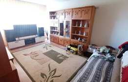 Apartament 2 camere, 58 mp, zona Calea Severinului