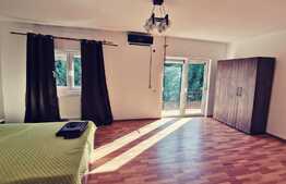 Casa in duplex, 130 mp, teren 300 mp, zona Ford