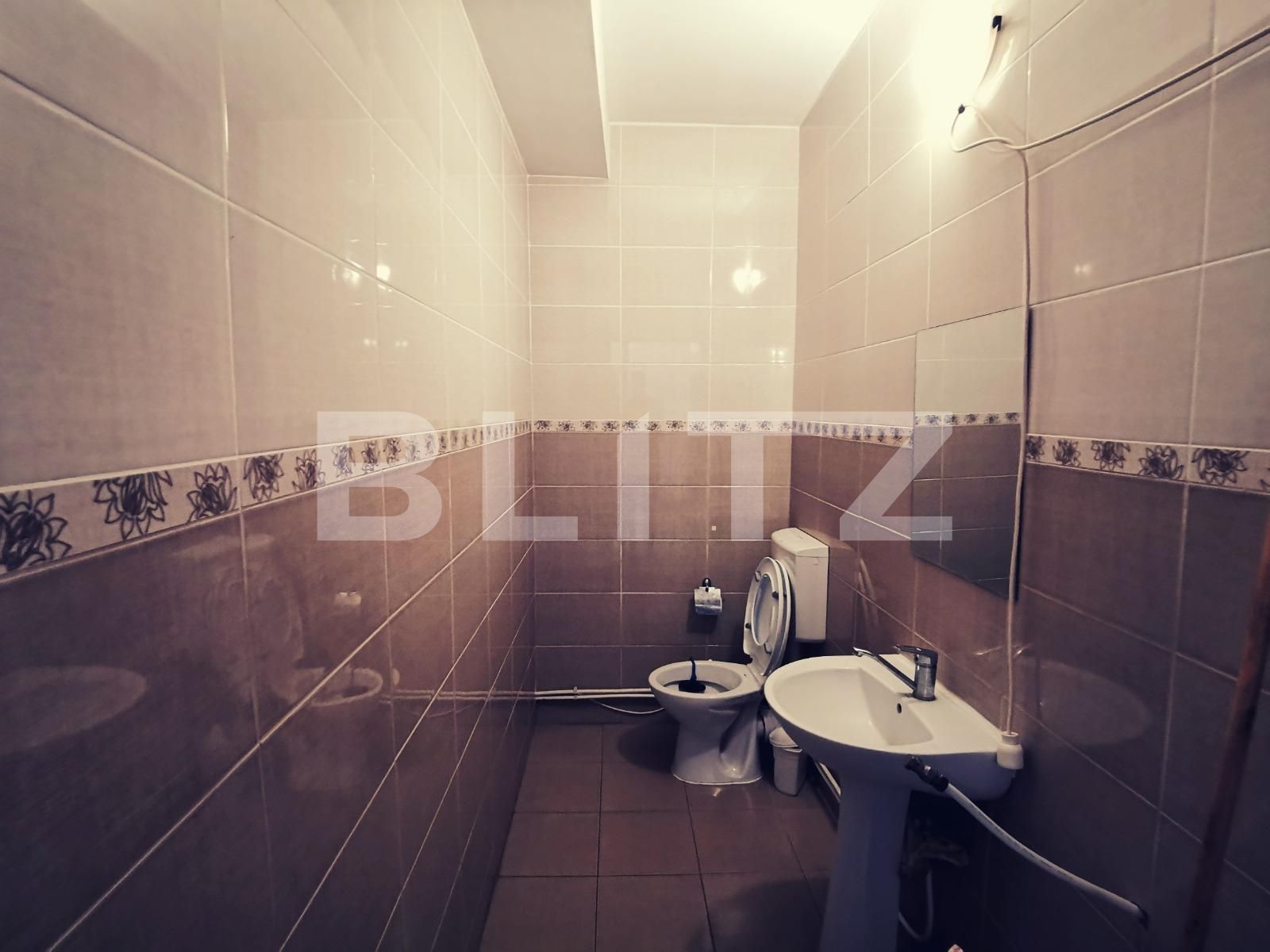 Casa de vânzare 4 camere Valea Rosie - 93575CV | BLITZ Craiova | Poza7