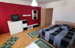 Garsoniera decomandata, 36 mp, pet friendly, zona Brazda lui Novac