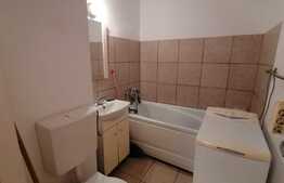 Garsoniera decomandata, 36 mp, pet friendly, zona Brazda lui Novac