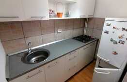 Garsoniera decomandata, 36 mp, pet friendly, zona Brazda lui Novac