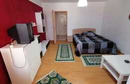 Garsoniera decomandata, 36 mp, pet friendly, zona Brazda lui Novac