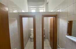 Spatiu comercial, 173 mp, zona Ultracentrala