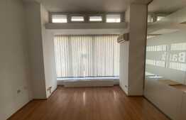 Spatiu comercial, 173 mp, zona Ultracentrala