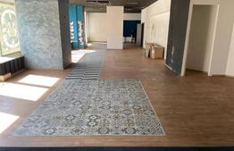 Spatiu comercial, 250 mp, zona Ultracentrala