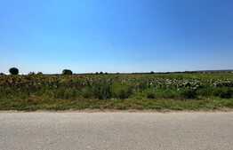 Teren intravilan, 10.000 mp, toate utilitățile, asfalt, lângă Mănăstirea Jitianu, Braniște