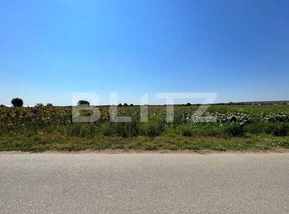 Teren de vânzare Branişte (Podari) - 93950TV | BLITZ Craiova | Poza3