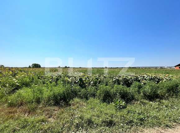 Teren de vânzare Branişte (Podari) - 93950TV | BLITZ Craiova | Poza4