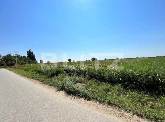 Teren de vânzare Branişte (Podari) - 93950TV | BLITZ Craiova | Poza1