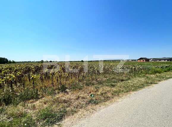 Teren de vânzare Branişte (Podari) - 93950TV | BLITZ Craiova | Poza5