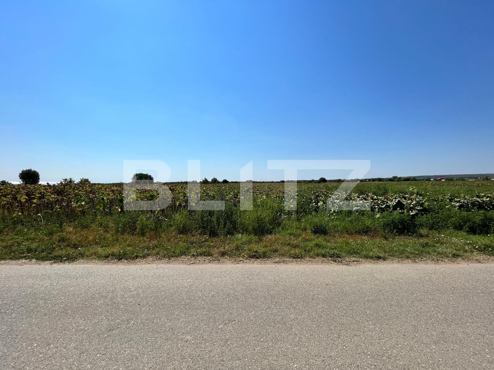 Teren de vânzare Branişte (Podari) - 93950TV | BLITZ Craiova | Poza3