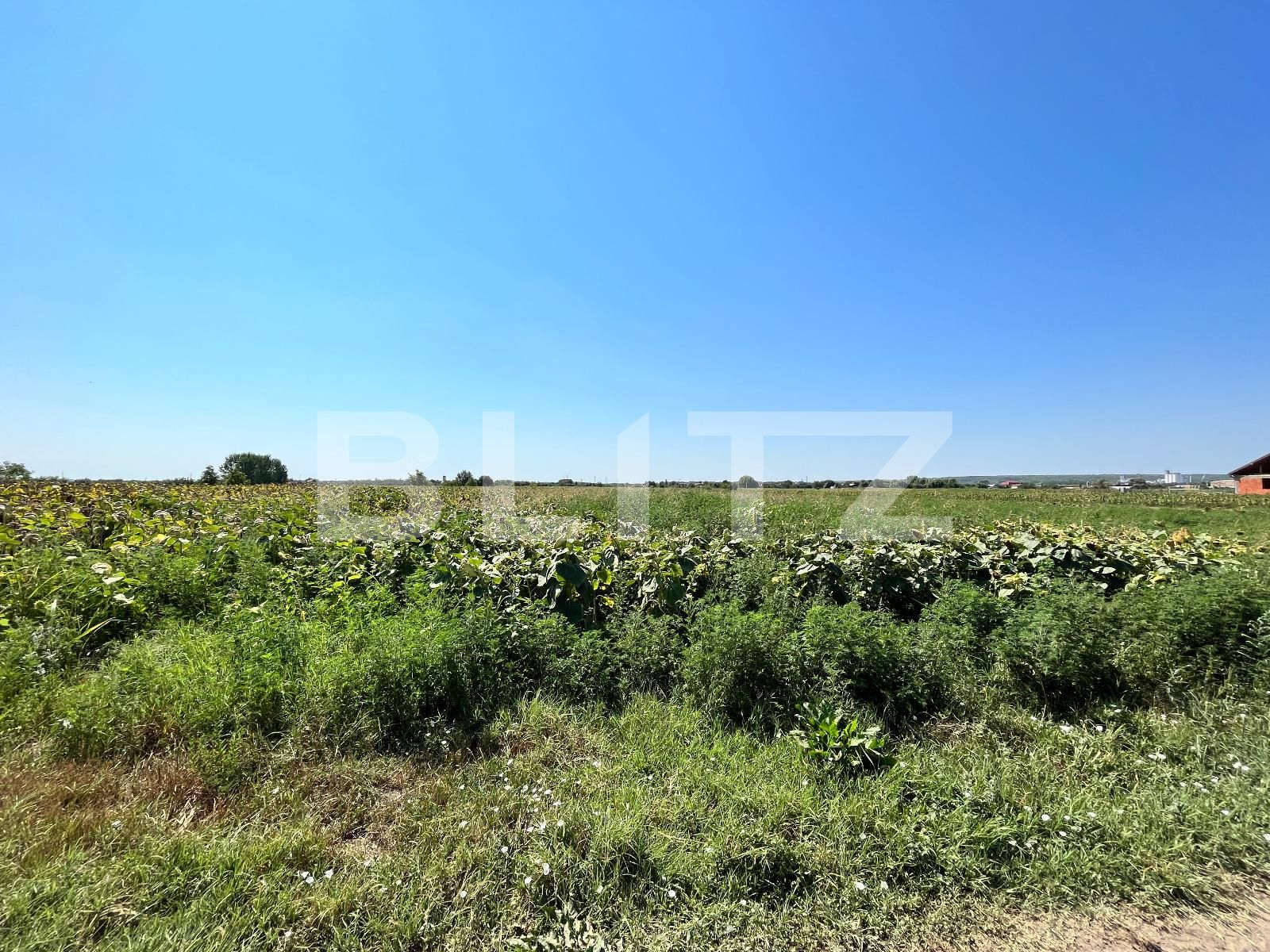 Teren de vânzare Branişte (Podari) - 93950TV | BLITZ Craiova | Poza4