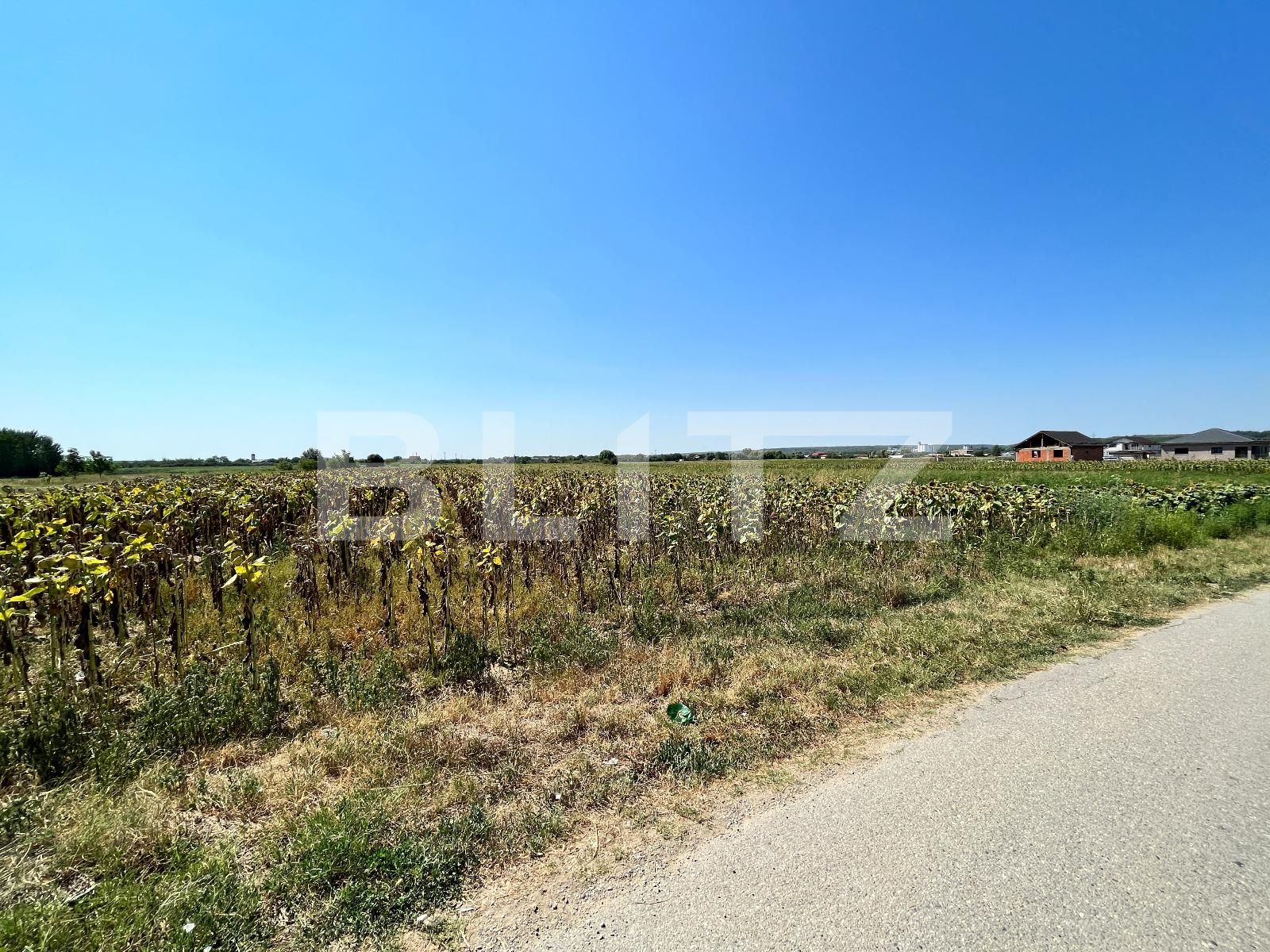 Teren de vânzare Branişte (Podari) - 93950TV | BLITZ Craiova | Poza5