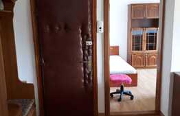 Apartament de 2 camere, 50 mp, etaj intermediar, zona Brazda lui Novac