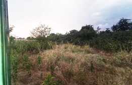 Teren 1570 mp, 13 ml, Preajba