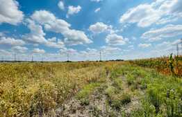 Teren intravilan de 1419 mp, zona Simnicul de Sus