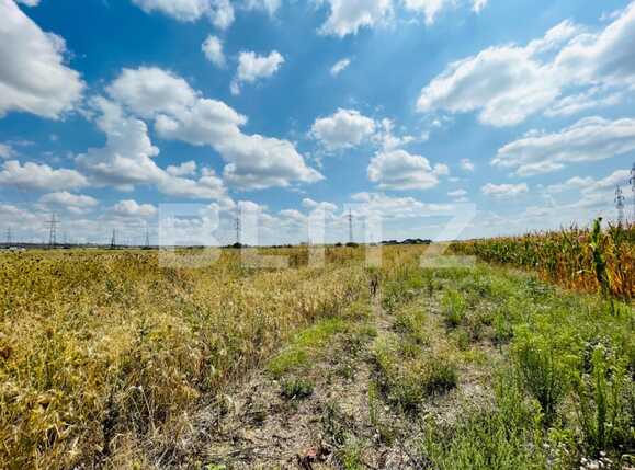 Teren de vânzare Simnicu de Sus  - 94155TV | BLITZ Craiova | Poza1