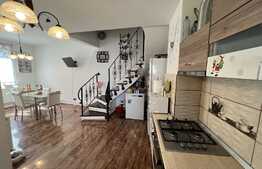 Casa de 100 mp, curte 130 mp, Centru, zona Casa căsătoriilor 