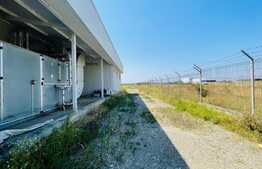 Teren 10000 mp, cu 2 hale de 330 mp si 900 mp, in zona Preajba