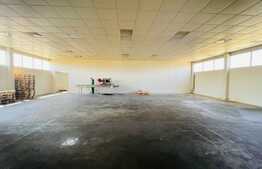 Hale Laborator cu teren 10000 mp, zona Malu Mare