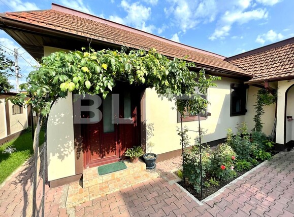 Casa de vânzare 4 camere Romanesti - 94904CV | BLITZ Craiova | Poza11