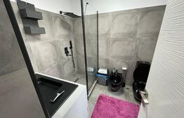 Casa de 140 mp, 255 mp teren, Romanesti