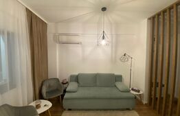 Apartament 3 camere de lux, centrala termica, aer conditionat, zona Calea Severin